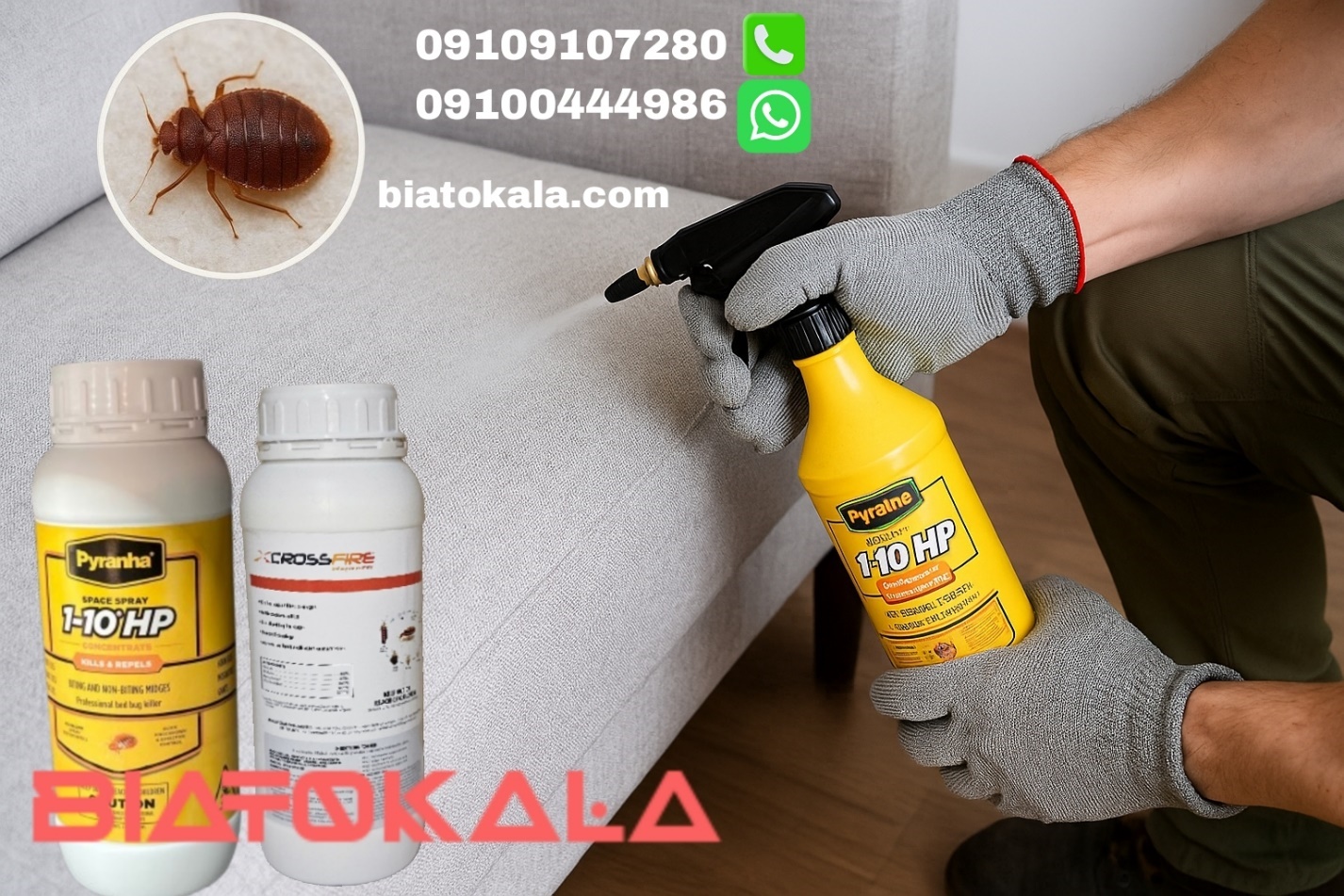 نبرد قطعی با ساس تختخواب؛ راه‌های شناسایی، ریشه‌کنی و معرفی قوی‌ترین سموم ساس